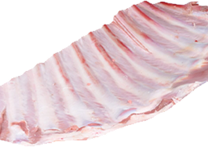 ŻEBRA CIELĘCE