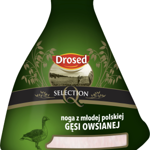 NOGA Z GĘSI