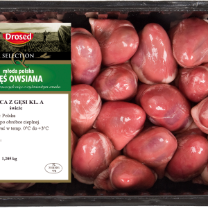 SERCA Z GĘSI