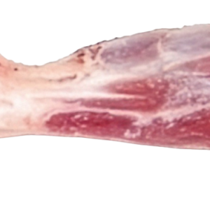 KOŚCI CIELĘCE SZPIKOWE