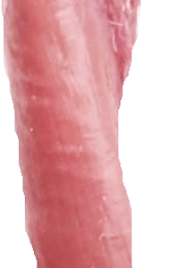 POLĘDWICZKI WIEPRZOWE EXTRA